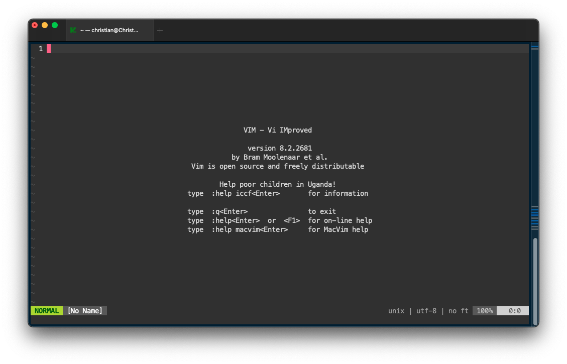 Vim with blue border